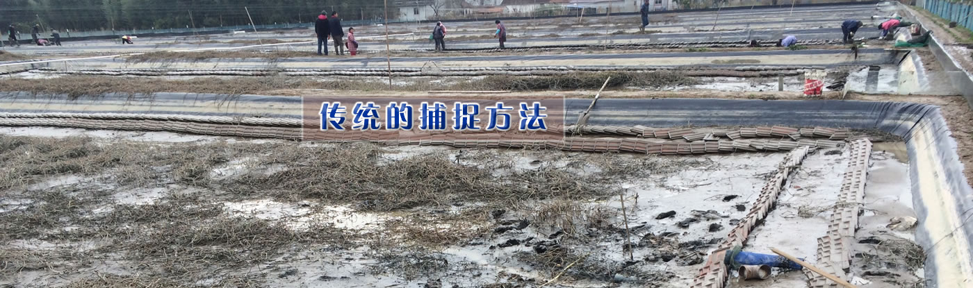 L(zhng)з
