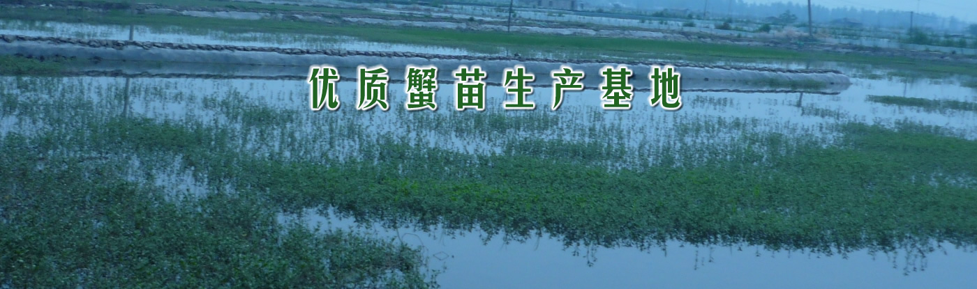 L(zhng)з